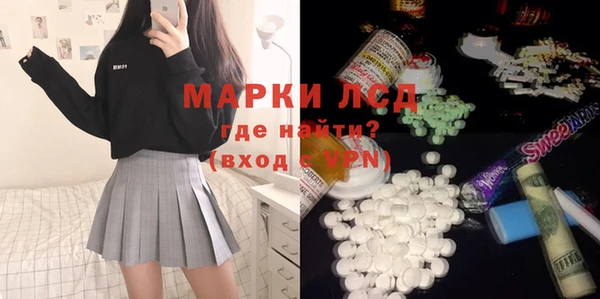 спайс Каменка