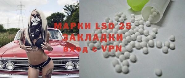 спайс Каменка