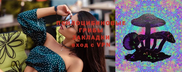 спайс Каменка