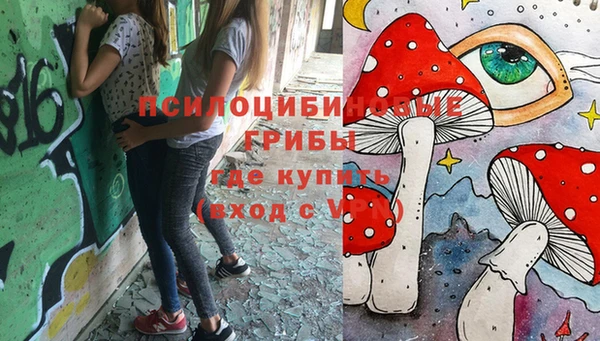мет Абаза