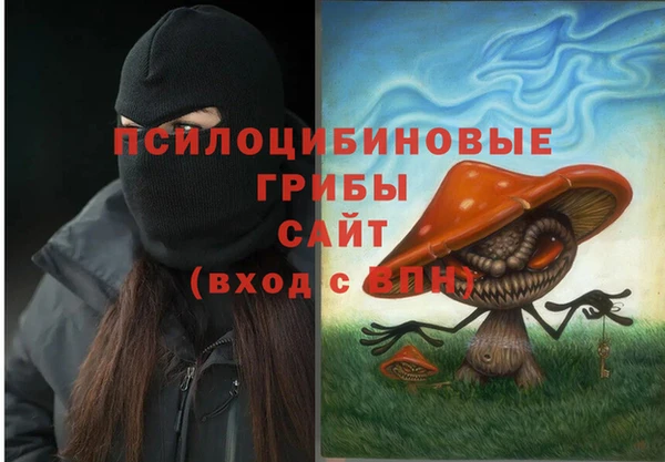 таблы Каменногорск