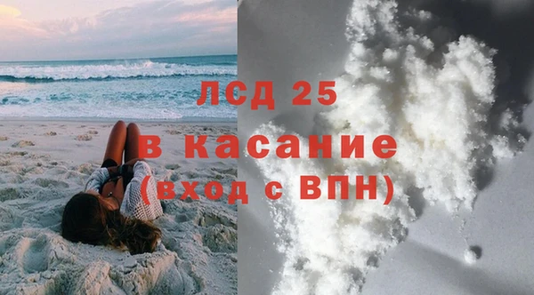 спайс Каменка