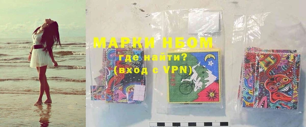 спайс Каменка