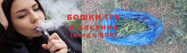 спайс Каменка